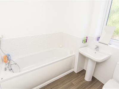 Picture 22